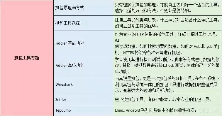 软件开发专业技能与能力深度解析，必备技能一览